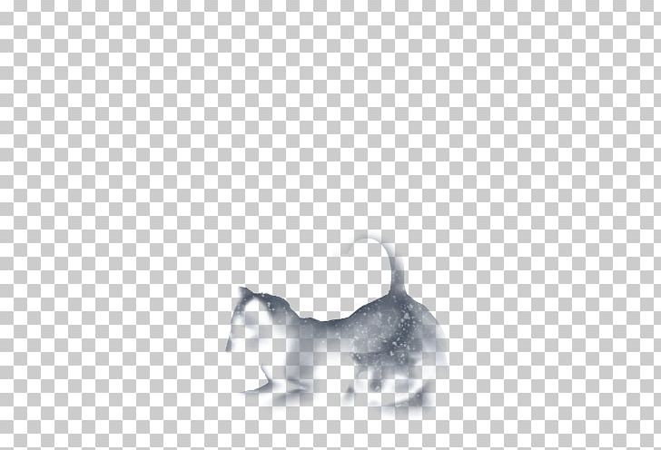 Whiskers Kitten Rat Dog White PNG, Clipart, Animals, Black, Black And White, Canidae, Carnivoran Free PNG Download