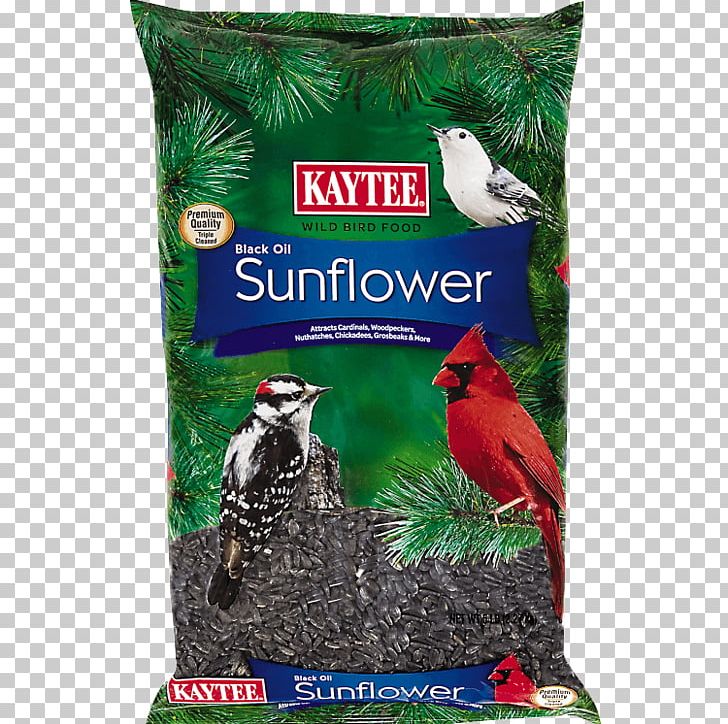 Bird Food Finch Sunflower Seed Kaytee PNG, Clipart, Bird, Bird Feeders, Bird Food, Bird Supply, Common Sunflower Free PNG Download