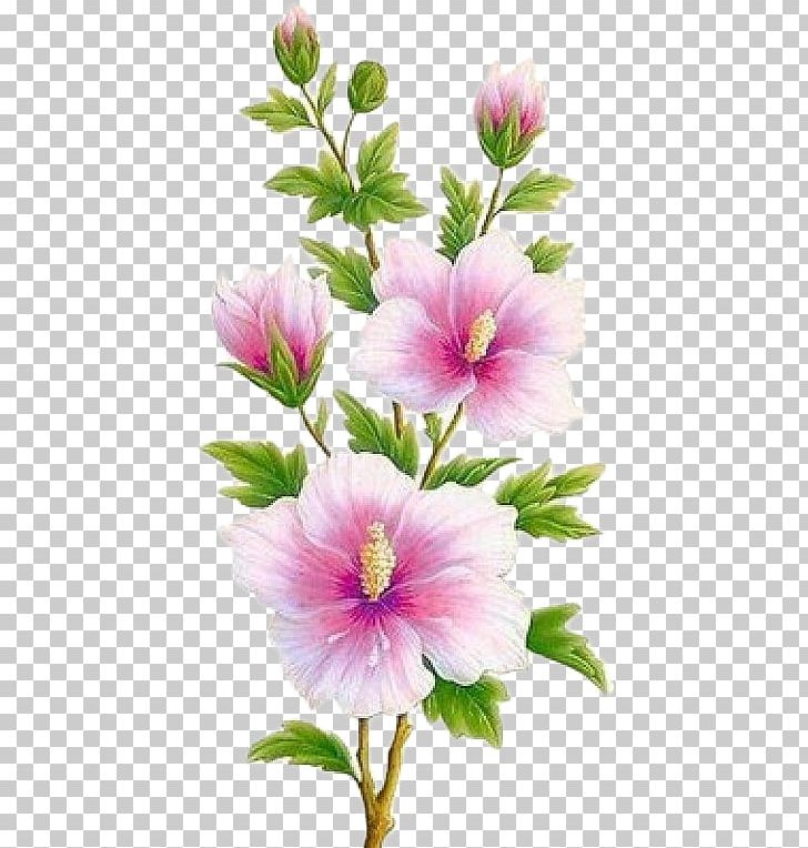 Decoupage Flower Art Floral Design PNG, Clipart, Annual Plant, Art, Askartelu, Blingee, Blume Free PNG Download