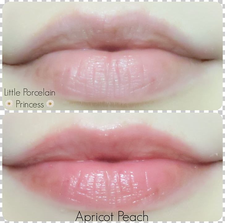 Lip Gloss Lipstick Close-up Eyelash PNG, Clipart, Closeup, Cosmetics, Eyelash, Lip, Lip Gloss Free PNG Download