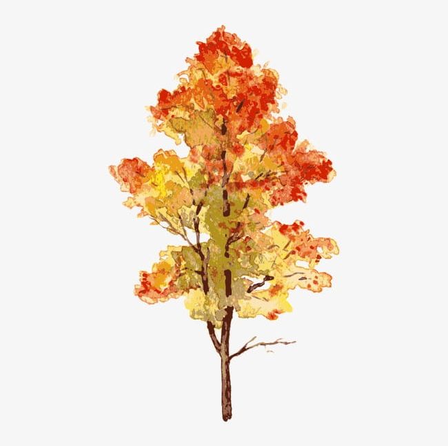 Tree PNG, Clipart, Autumn, Autumn Elements, Elements, Fall, Flowers Free PNG Download