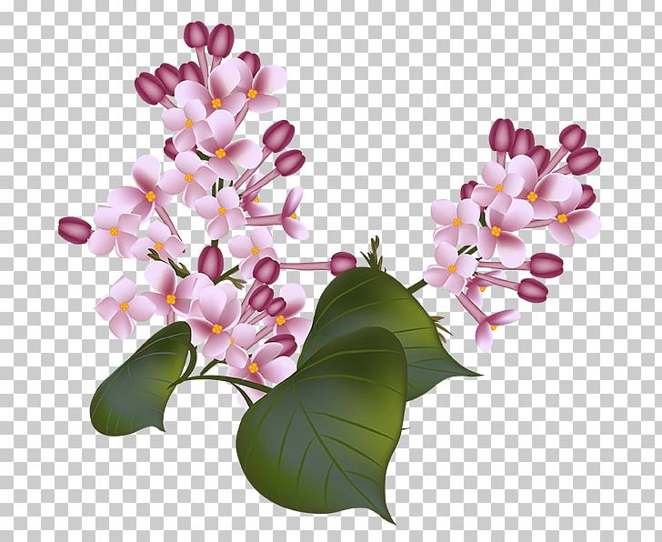 Flower Floral Design PNG, Clipart, Blossom, Branch, Cut Flowers, Floral Design, Flower Free PNG Download