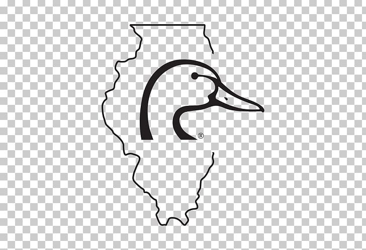 North Carolina Ducks Unlimited Organization Wetland Conservation Movement PNG, Clipart, Bird, Fictional Character, Head, Miscellaneous, Monochrome Free PNG Download