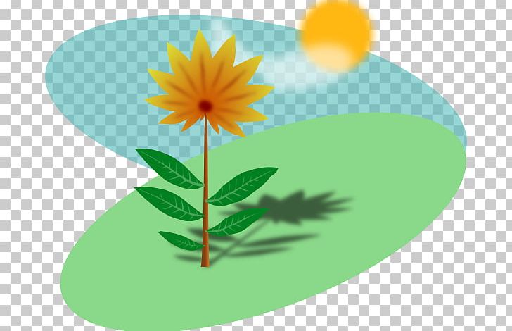 Plant Sunlight Computer Icons PNG, Clipart, Computer Icons, Daisy, Daisy Family, Drawing, Flower Free PNG Download