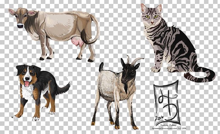 Cat Dog Animal Pet Farm PNG, Clipart, Animal, Animals, Breed, Carnivoran, Cat Free PNG Download