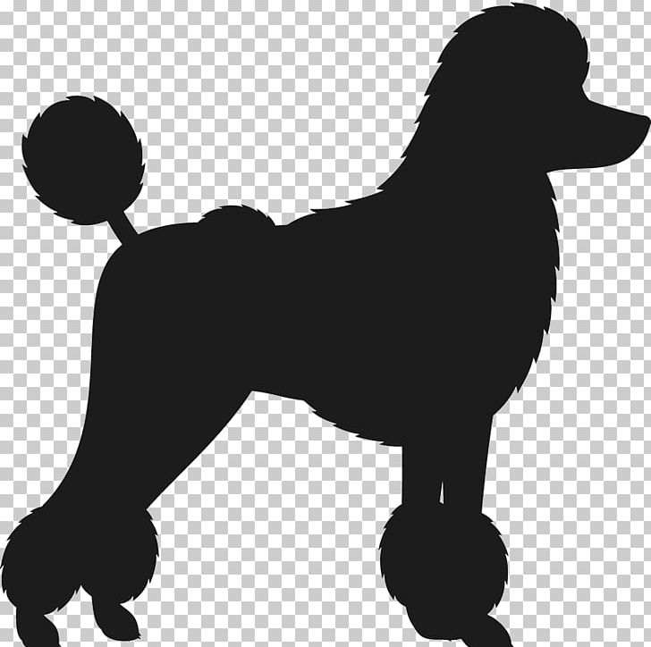 Dog Breed Toy Poodle Standard Poodle Dachshund PNG, Clipart, Animals, Bichon, Bichon Frise, Black, Black And White Free PNG Download