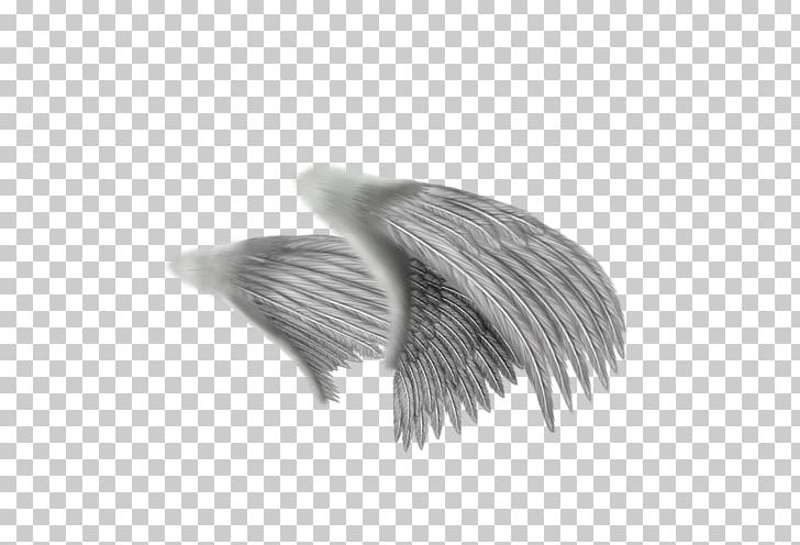 Drawing Angel Feather PNG, Clipart, Angel Wing, Angel Wings, Art, Beak, Black And White Free PNG Download