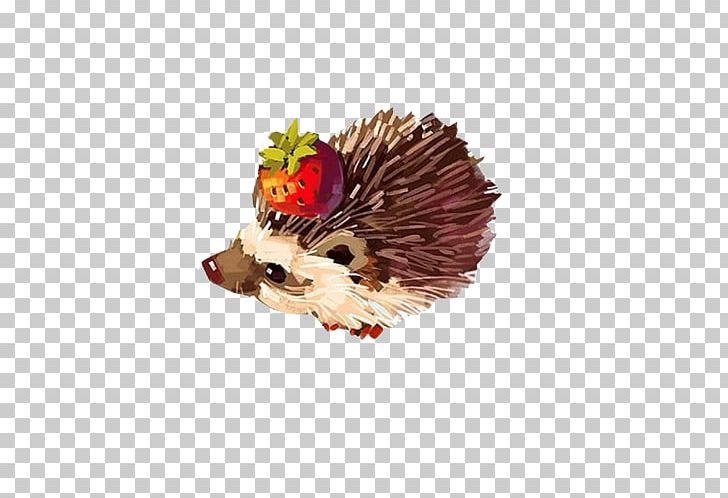 Hedgehog Paper Drawing Watercolor Painting Illustration PNG, Clipart, Abstract Material, Animals, Art, Cartoon, Drawing Free PNG Download