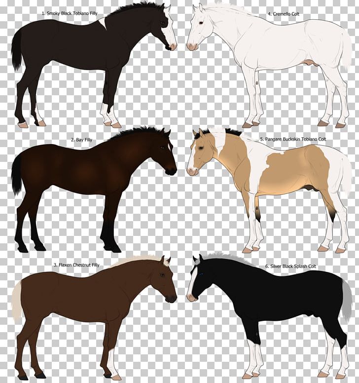 Mustang Pony Silhouette PNG, Clipart, Agricultural Show, Bridle, Colt, Farm, Foal Free PNG Download