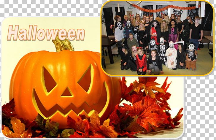 Pumpkin Carving Halloween Costume Jack-o'-lantern PNG, Clipart,  Free PNG Download