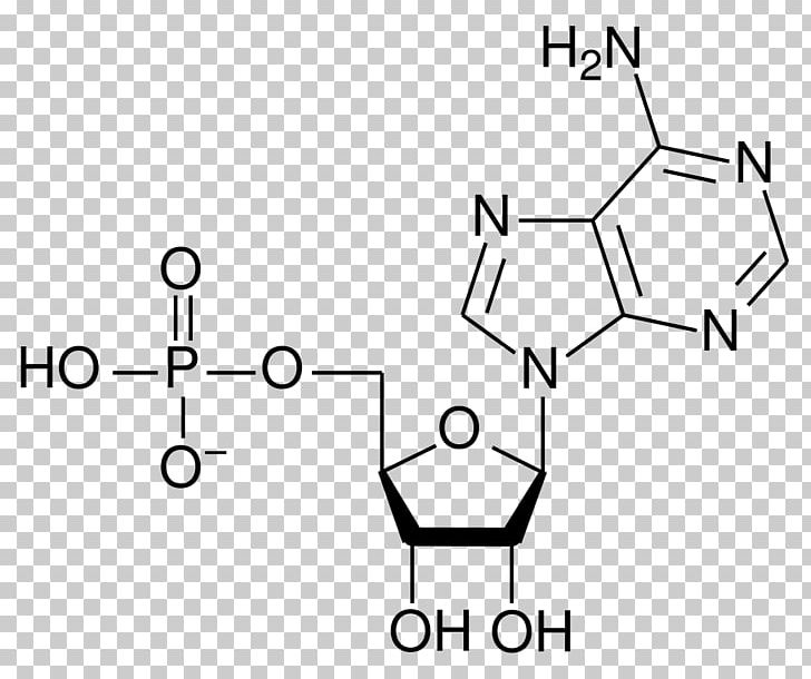 Adenosine Monophosphate Adenosine Triphosphate Adenosine Diphosphate Nucleotide PNG, Clipart, Adenosine, Adenosine, Adenosine Diphosphate, Adenosine Monophosphate, Angle Free PNG Download