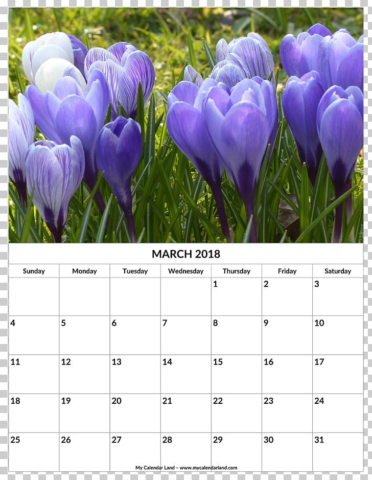 Crocus Vernus White Crocus Crocus Flavus Iris Family 0 PNG, Clipart, 2016, 2018, Bulb, Calendar, Crocus Free PNG Download