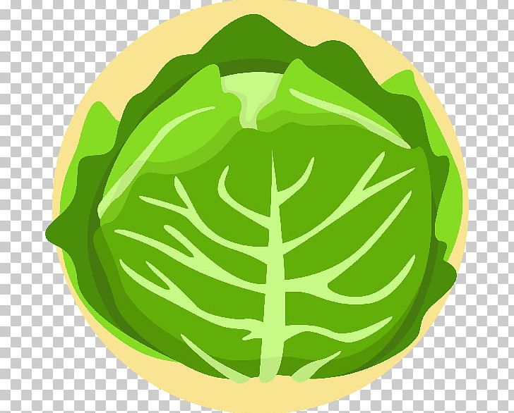 Lettuce Salad Vegetable Vegetarian Cuisine Cabbage PNG, Clipart, Cabbage, Chinese Cabbage, Circle, Commodity, Food Free PNG Download