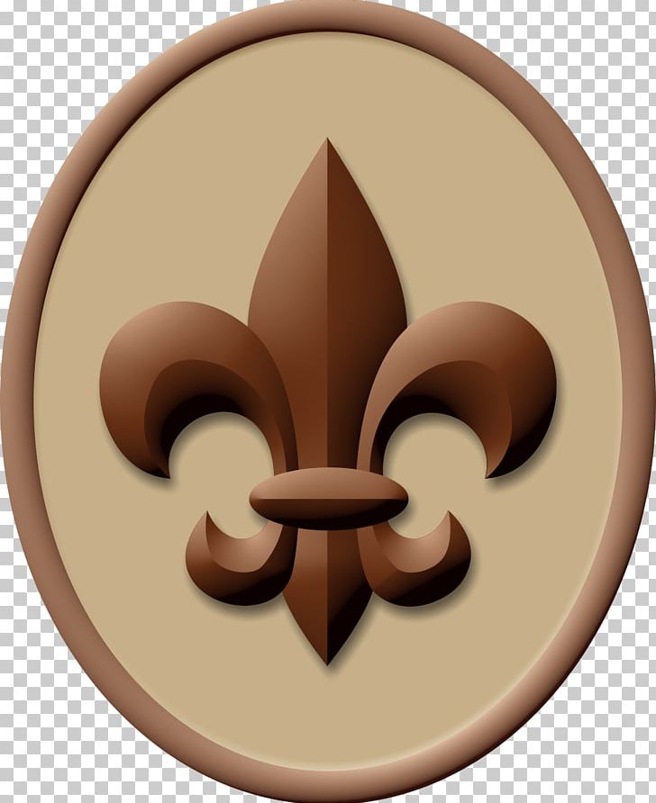 Boy Scout Handbook Ranks In The Boy Scouts Of America Scouting Eagle Scout PNG, Clipart, Badge, Boy Scout Handbook, Boy Scouts Of America, Cub Scout, Cub Scouting Free PNG Download