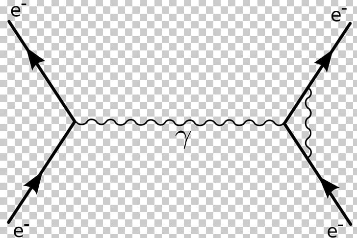 Diagrammatica Feynman Diagram Particle Physics Photon PNG, Clipart, Angle, Area, Black, Black And White, Branch Free PNG Download