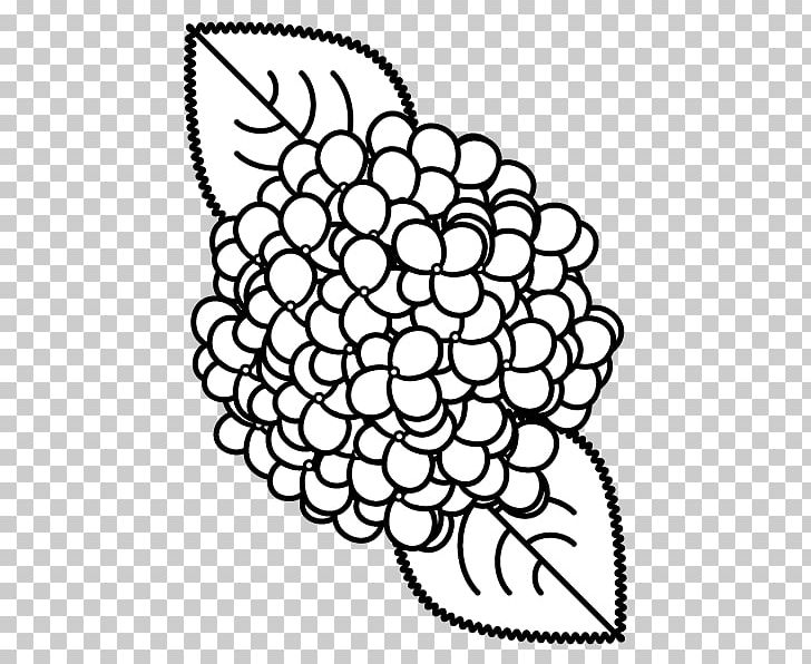 French Hydrangea Flower Black And White Monochrome Painting PNG, Clipart, Area, Art, Black And White, Circle, Coloring Book Free PNG Download