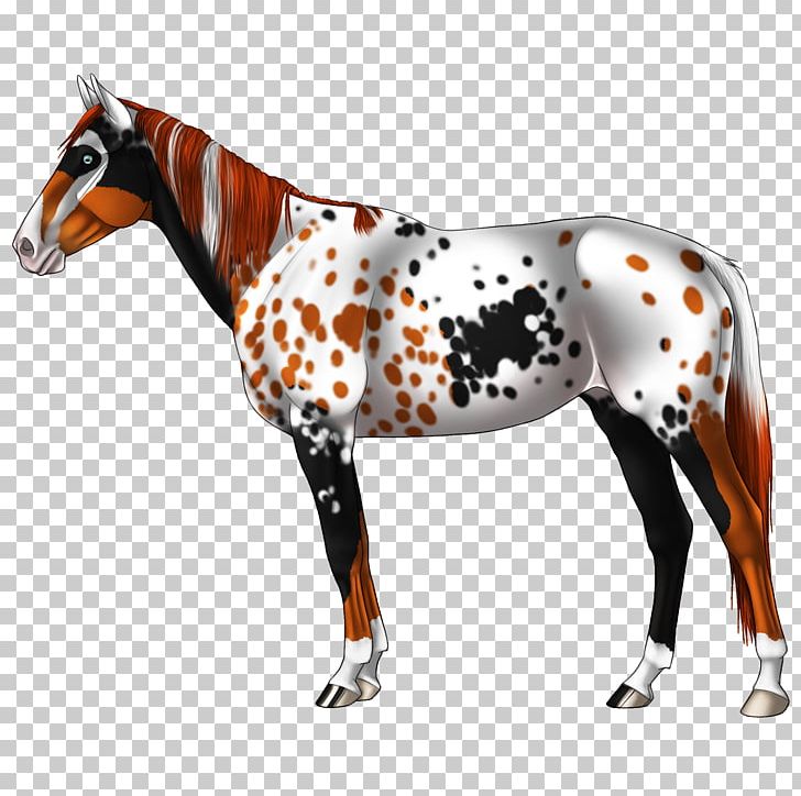 Stallion Foal Mare Mustang Pony PNG, Clipart, Animal Figure, Bridle, Foal, Halter, Horse Free PNG Download
