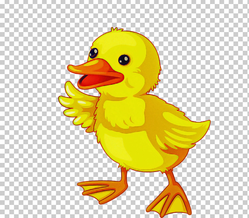 Social Media PNG, Clipart, Animation, Cartoon, Chicken, Drawing, Duck Free PNG Download