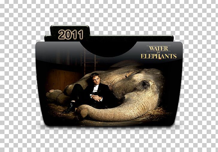 Water For Elephants Marlena Rosenbluth Jacob Jankowski Circus August Rosenbluth PNG, Clipart, Actor, Christoph Waltz, Circus, Elephantidae, Film Free PNG Download