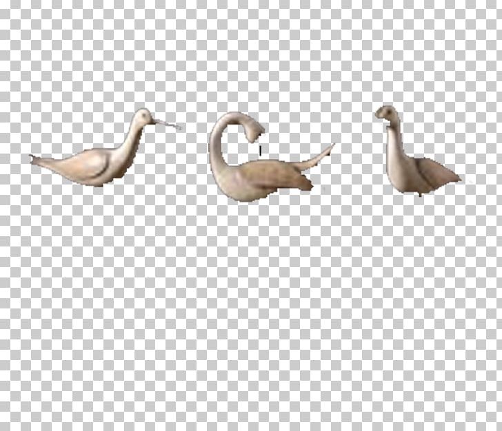 Duck Cygnini Goose PNG, Clipart, Animals, Beak, Beautiful, Bird, Christmas Decoration Free PNG Download