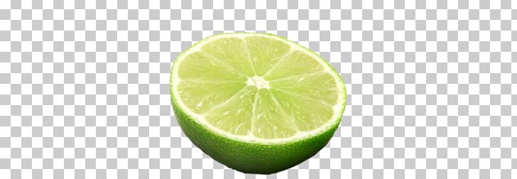 Lime PNG, Clipart, Lime Free PNG Download