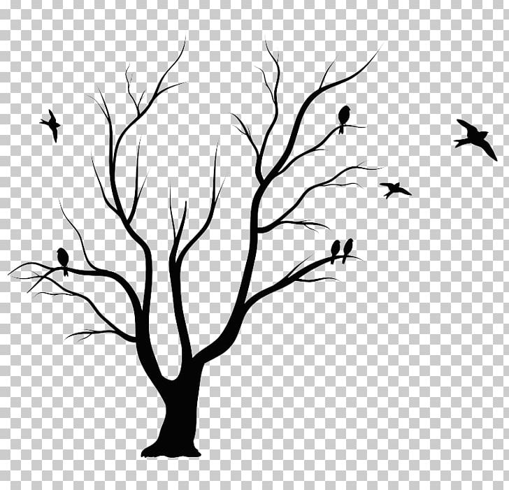 Shadow Of The Apple Tree Leaf Drawing PNG, Clipart, Arbol, Art, Artwork, Beak, Bird Free PNG Download