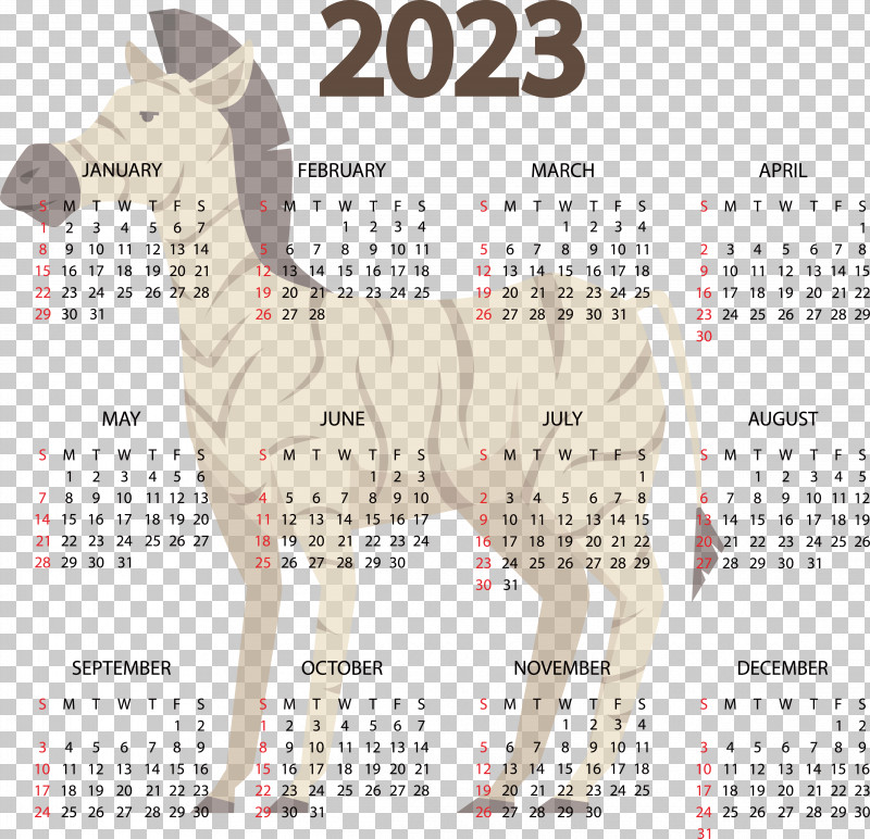 Calendar Line Font Pattern Meter PNG, Clipart, Biology, Calendar, Geometry, Line, Mathematics Free PNG Download