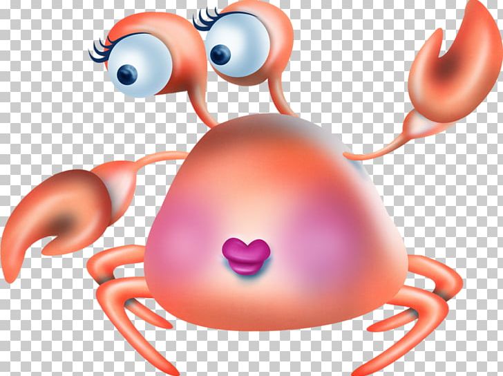 Crab Computer File PNG, Clipart, Adobe Illustrator, Animals, Animation, Cartoon, Cartoon Character Free PNG Download