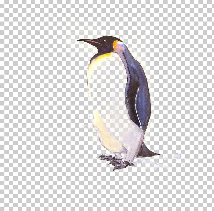 King Penguin Antarctic Drawing Poster PNG, Clipart, Animals, Antarctica, Antarctic Penguins, Art, Beak Free PNG Download