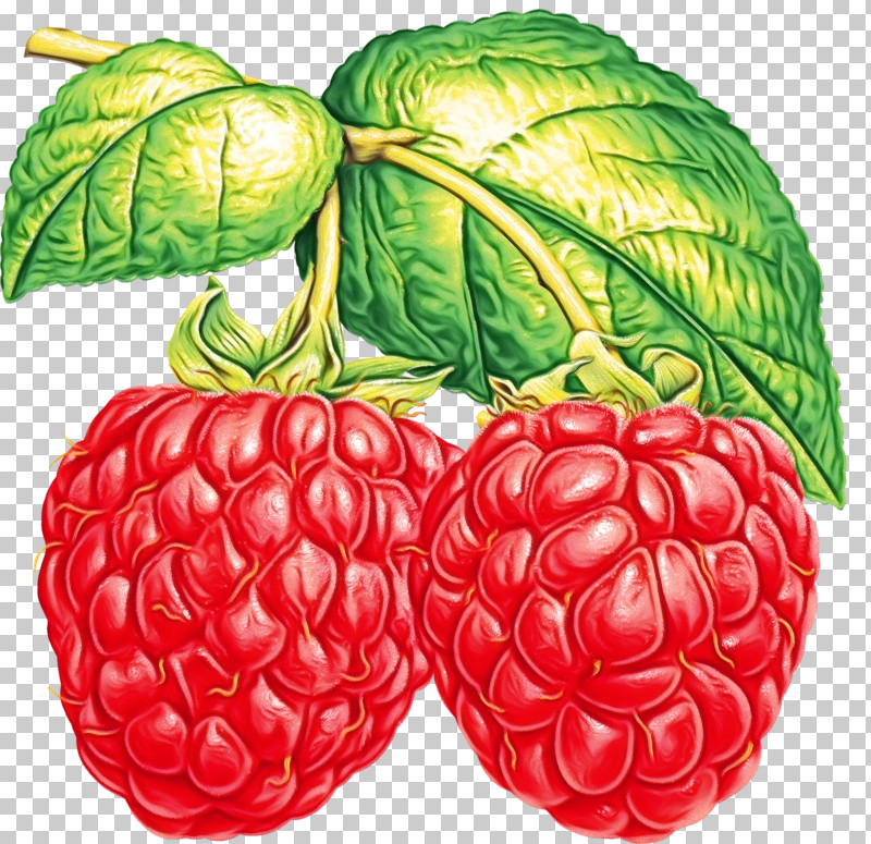 Raspberry Red Raspberry Blackberries Berry Blue Raspberry Flavor PNG, Clipart, Berry, Blackberries, Black Raspberry, Blue Raspberry Flavor, Fruit Free PNG Download