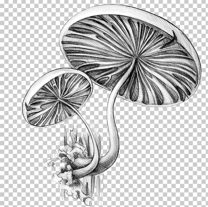 Flora FORESTIUM /m/02csf Portallas Fauna PNG, Clipart, Black, Black And White, Body Jewellery, Body Jewelry, Circle Free PNG Download