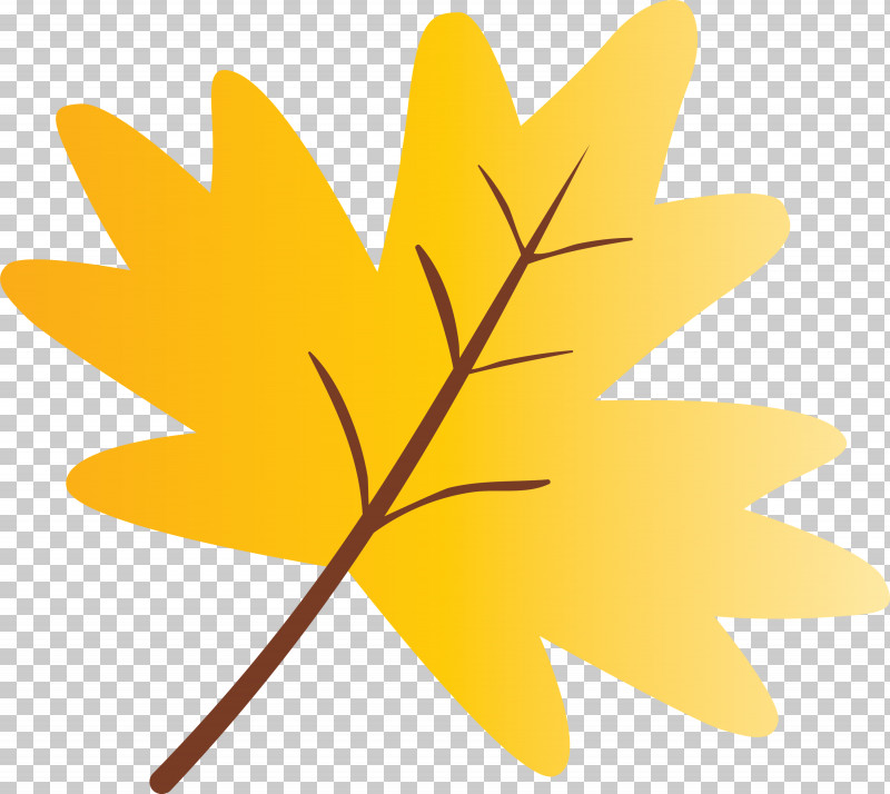 Maple Leaf PNG, Clipart, Black Maple, Flower, Leaf, Maple Leaf, Plane Free PNG Download