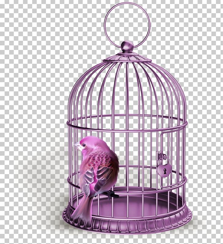 Birdcage Pet PNG, Clipart, Animals, Bird, Birdcage, Cage, Microcontroller Free PNG Download