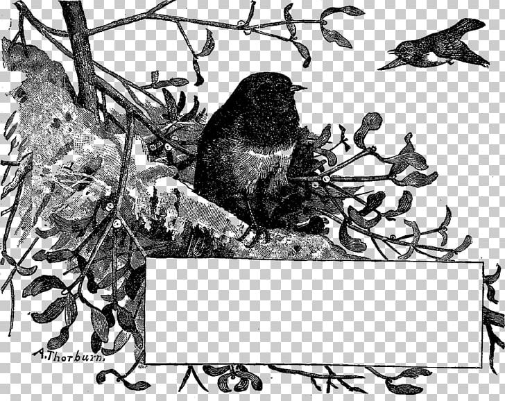 Fauna White Beak Mammal Font PNG, Clipart, Beak, Bird, Black And White, Branch, Branching Free PNG Download