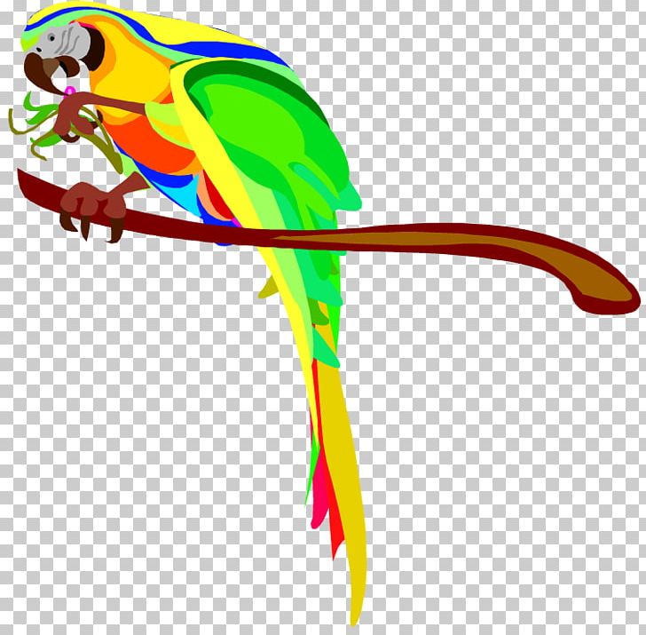 Parrot Bird Macaw PNG, Clipart, Animal Figure, Artwork, Beak, Bird, Blog Free PNG Download