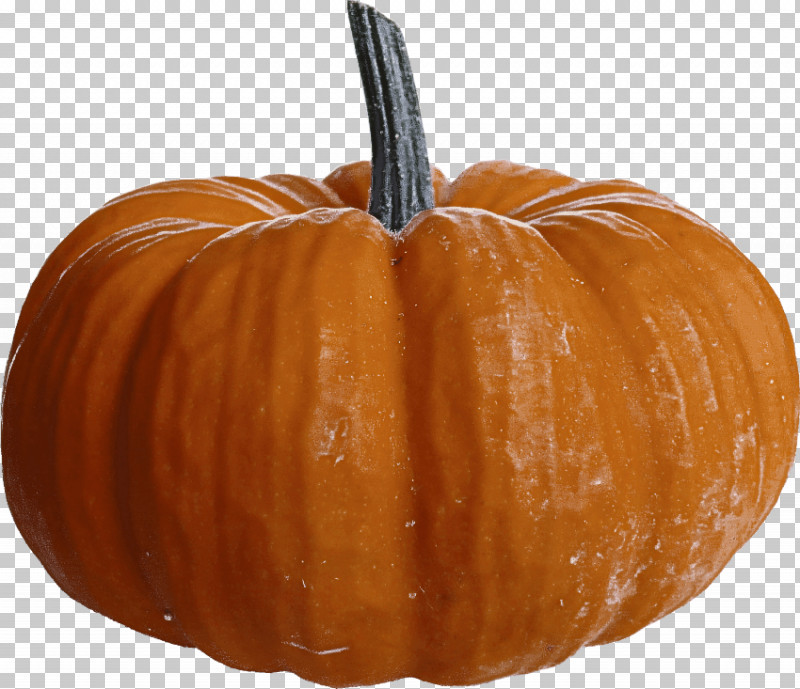 Pumpkin PNG, Clipart, Calabaza, Cucurbita, Food, Fruit, Gourd Free PNG Download