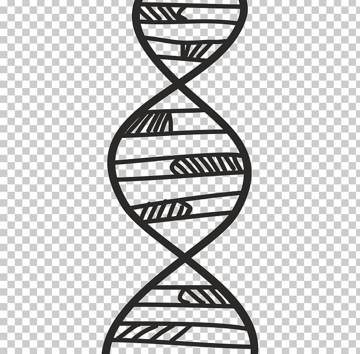 DNA Profiling Genetics Graphics Biology PNG, Clipart, Acid, Area, Biochemistry, Biologia, Biology Free PNG Download
