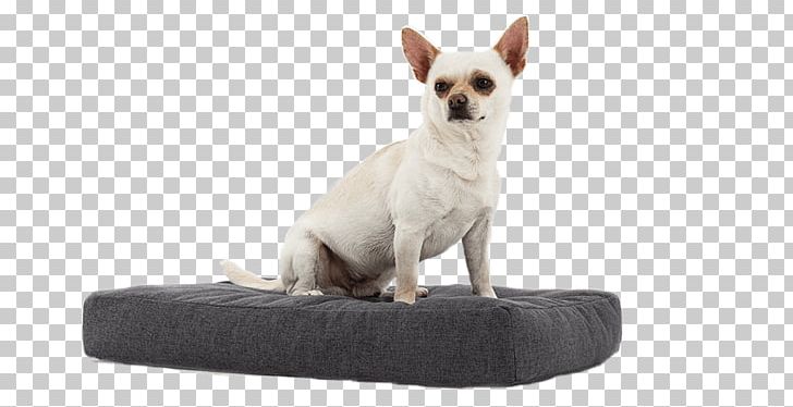 Dog Breed Chihuahua Mattress Bed Cots PNG, Clipart, Animal, Bassinet, Bed, Breed, Carnivoran Free PNG Download