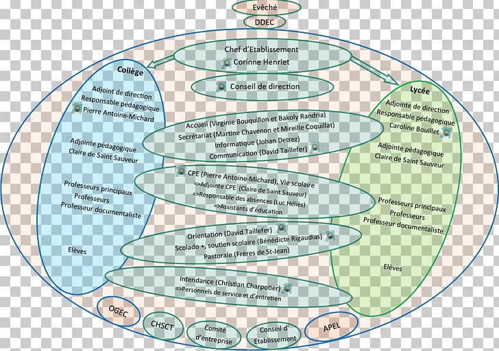 Water Diagram Organism Line PNG, Clipart, Area, Circle, Diagram, Joint, Line Free PNG Download