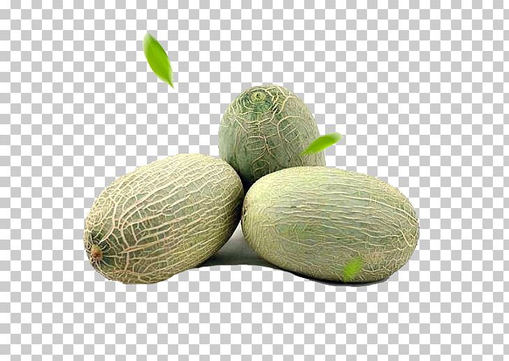 Cantaloupe Hami Melon Honeydew Seed Fruit PNG, Clipart, 3d Three Dimensional Flower, Auglis, Blue, Cantaloupe, Cucumber Gourd And Melon Family Free PNG Download