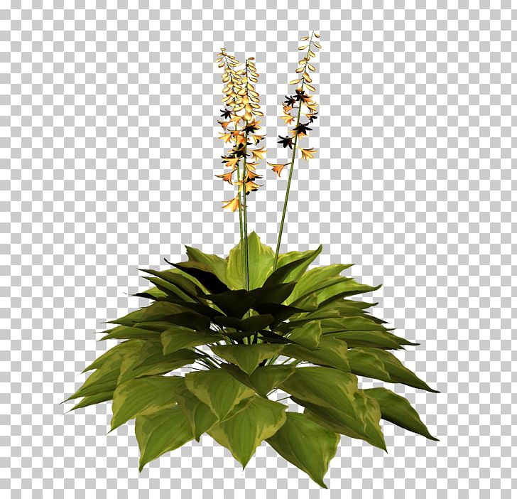 Cut Flowers Flowerpot Herb Flowering Plant PNG, Clipart, Bir, Cut Flowers, Flower, Flowering Plant, Flowerpot Free PNG Download