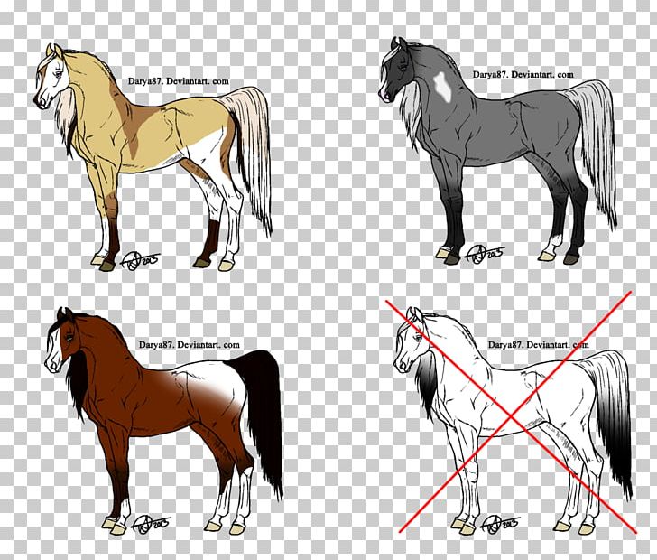 Mane Mustang Stallion Foal Colt PNG, Clipart, Bridle, Colt, Drawing, Fauna, Foal Free PNG Download
