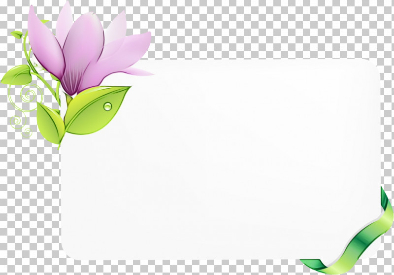 Flower Plant Petal Purple Tulip PNG, Clipart, Cut Flowers, Floral Rectangular Frame, Flower, Flower Rectangular Frame, Magnolia Free PNG Download