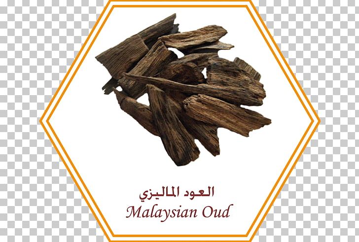 Agarwood Perfume Incense Ittar Essential Oil PNG, Clipart, Agarwood, Aquilaria, Aroma Compound, Bancha, Bukhoor Free PNG Download