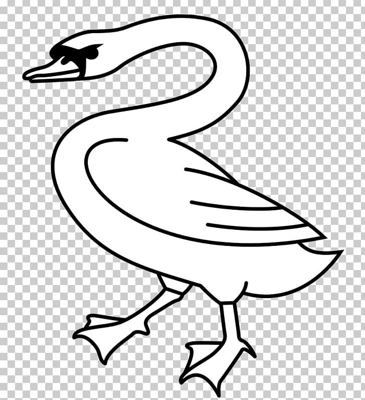 Cygnini Goose Duck Anatidae PNG, Clipart, Anatidae, Animals, Art, Artwork, Beak Free PNG Download