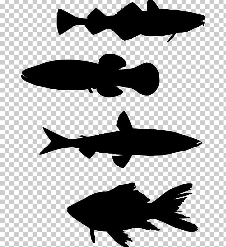 Fishing Silhouette PNG, Clipart, Animals, Artwork, Beak, Black And White, Cdr Free PNG Download