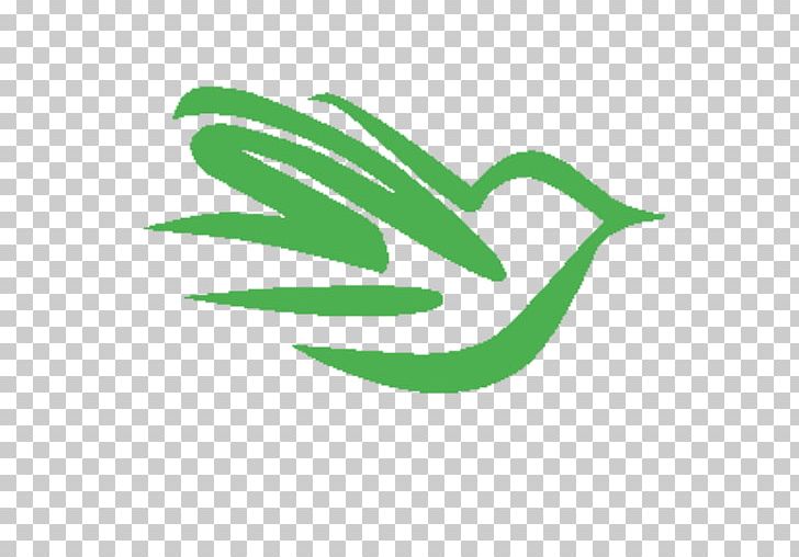 Leaf Green Plant Stem Line PNG, Clipart, Area, Grass, Green, Leaf, Line Free PNG Download