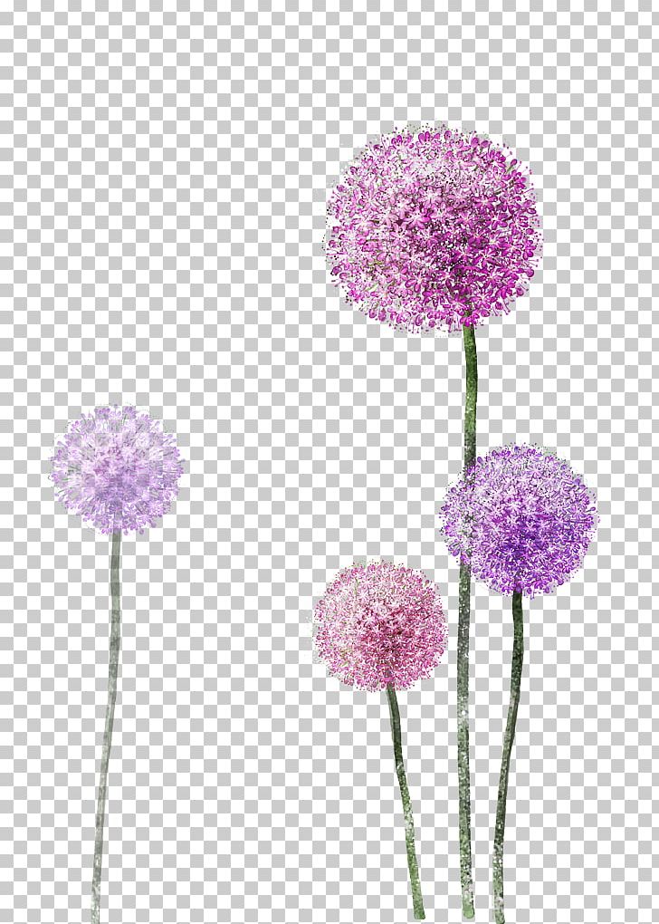 Dandelion floral pattern  Illustration art, Art inspiration, Pattern  wallpaper