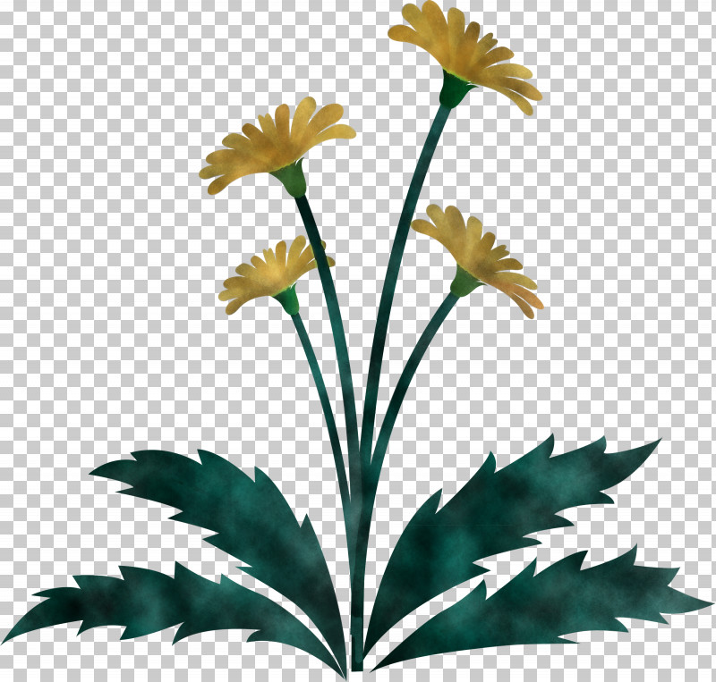 Dandelion Flower Easter Day Flower Spring Flower PNG, Clipart, Daisy Family, Dandelion Flower, Easter Day Flower, Flower, Leaf Free PNG Download