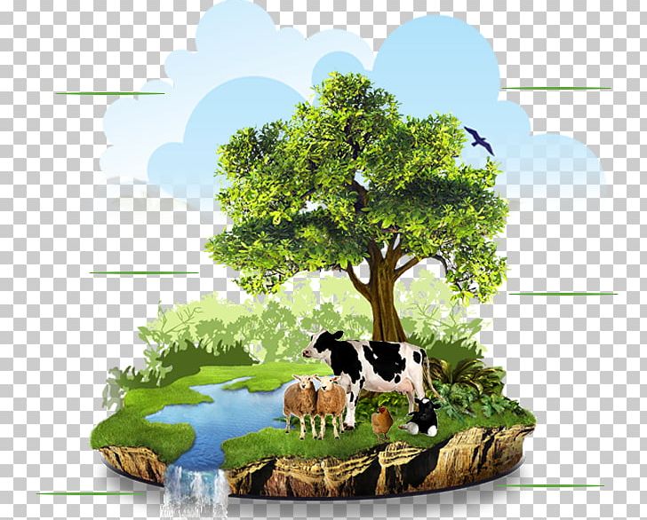 Agriculture Organic Food Organic Farming Natural Environment PNG, Clipart, Agriculture, Business, Conservation, Crop, Energy Conservation Free PNG Download